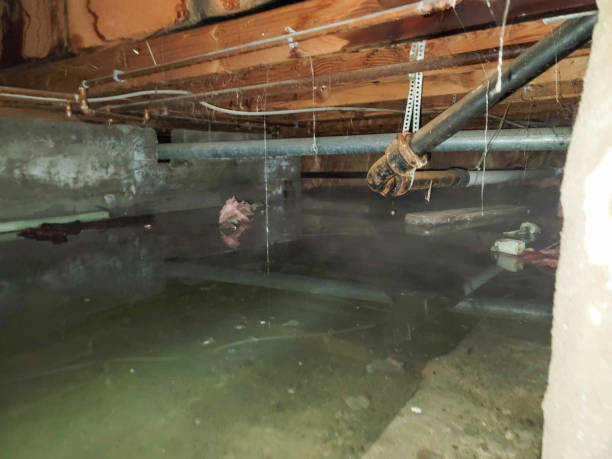 Best Water damage restoration company  in Glen Head, NY