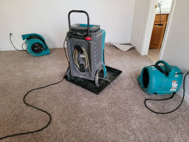 Best Ceiling water damage repair  in Glen Head, NY