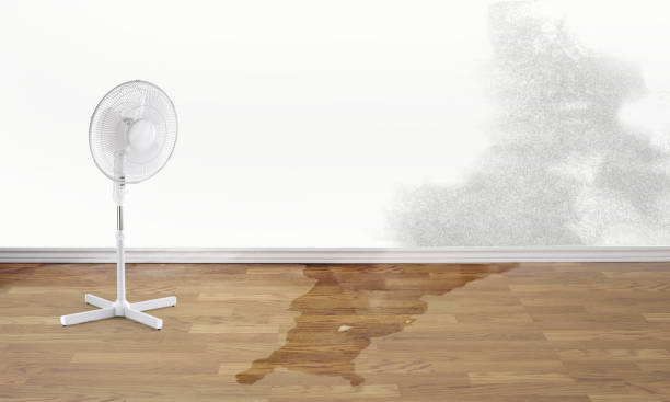 Best Residential water damage restoration  in Glen Head, NY