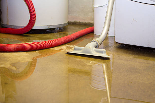 Best Water damage restoration near me  in Glen Head, NY