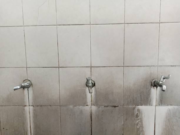 Best 24/7 water damage repair  in Glen Head, NY