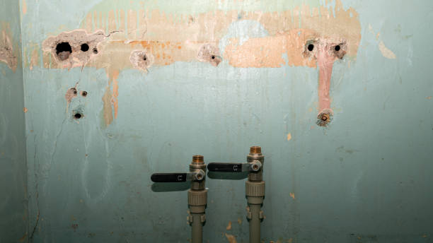Best Local water damage restoration  in Glen Head, NY