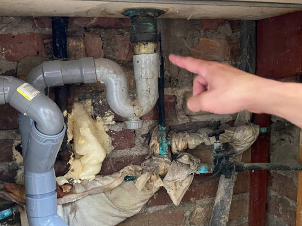 Best Flood damage cleanup  in Glen Head, NY