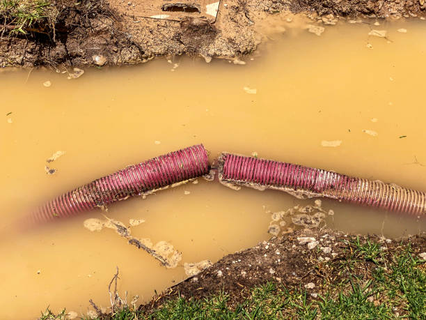 Best Water damage cleanup near me  in Glen Head, NY