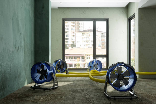 Best Emergency water damage restoration  in Glen Head, NY